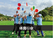 体育行业网站优化案例