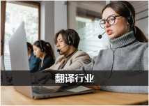 翻译行业网站优化案例